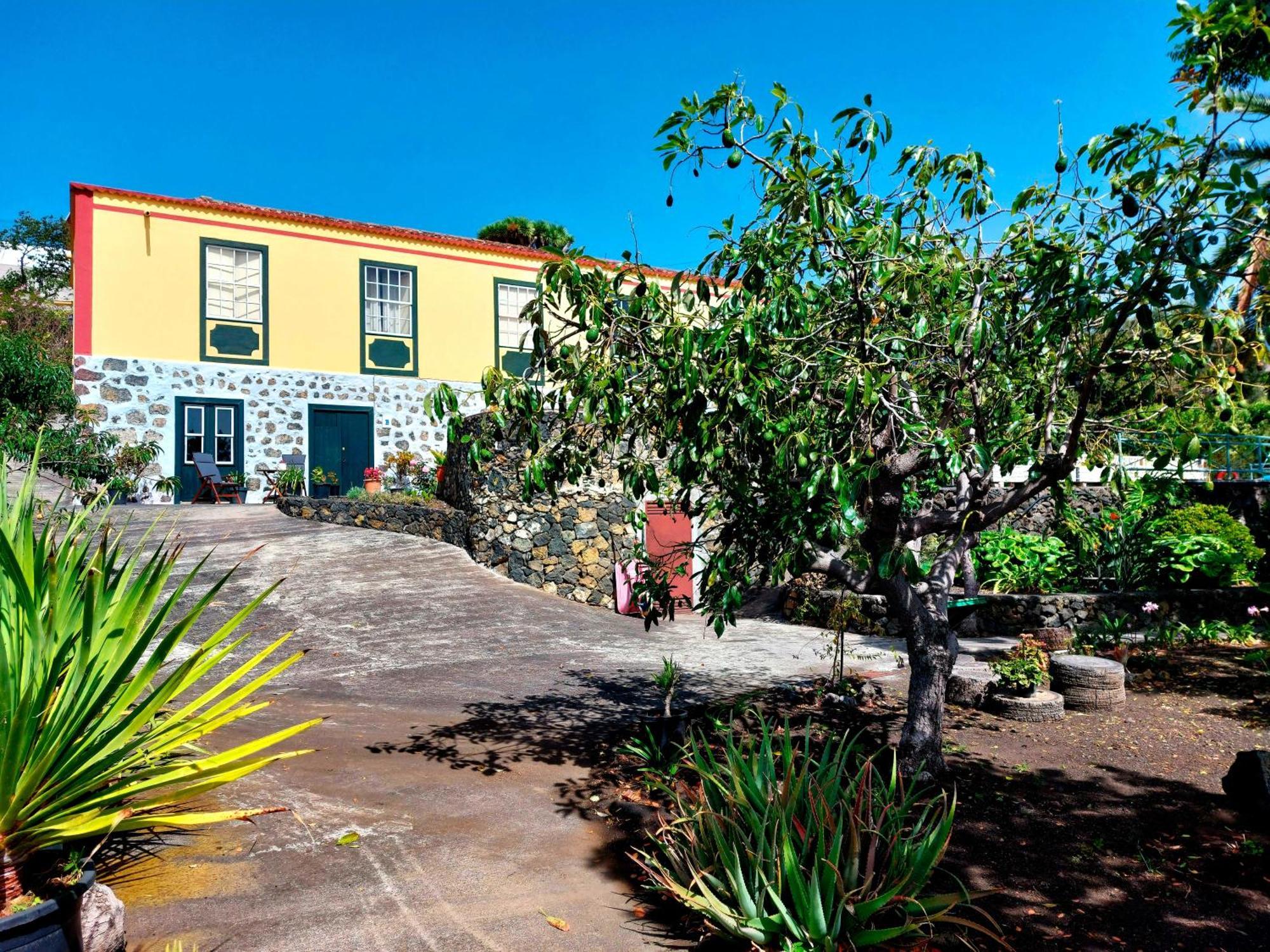 Villa Asuncion B ブレーニャ・バハ エクステリア 写真