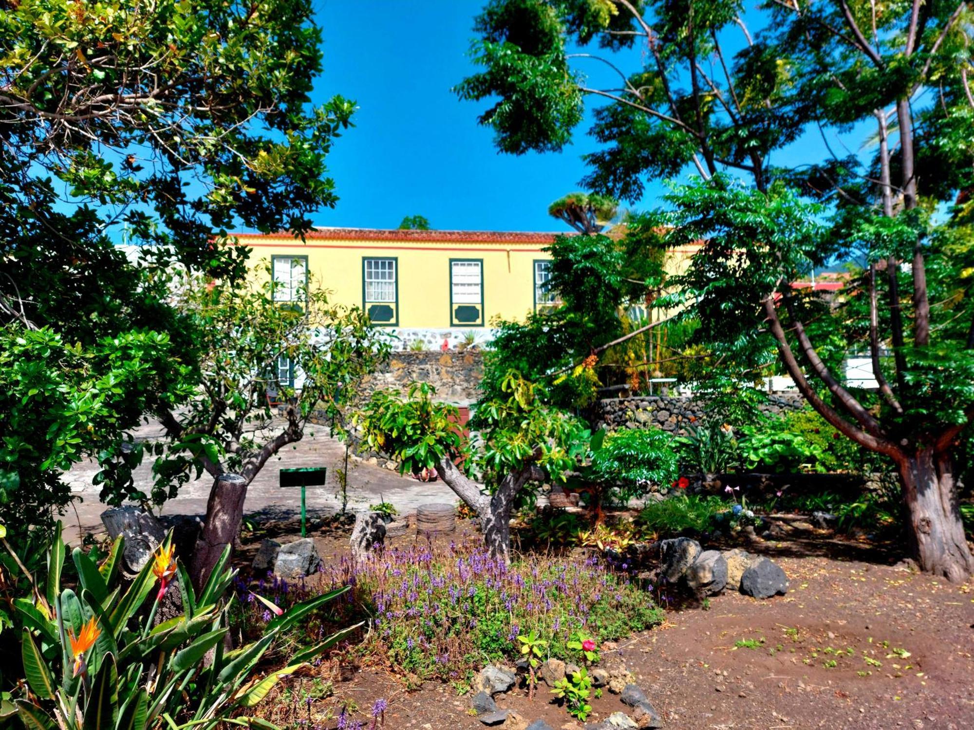 Villa Asuncion B ブレーニャ・バハ エクステリア 写真